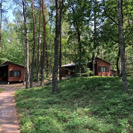 Lesnik Bungalow Stegna - Domki Letniskowe Nad Morzem Exterior photo